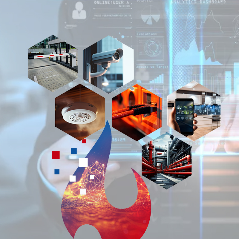 About D'Park Corporation